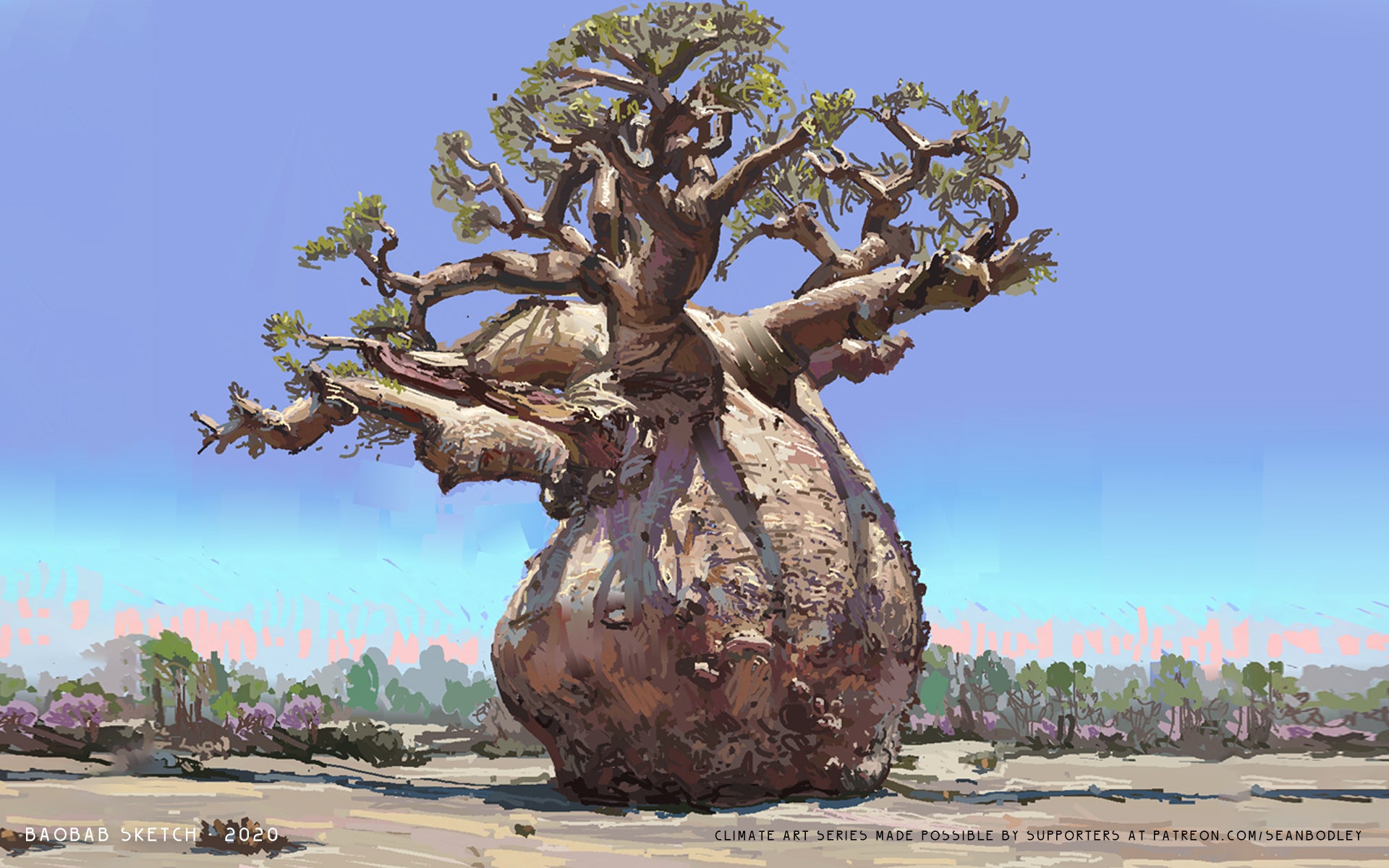 Baobab%20-%20Sean%20Bodley_1670372616.jpg